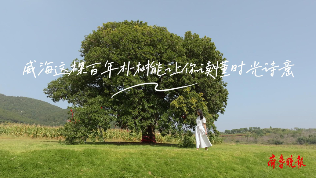 专题“治愈不美丽·鲁K有话说”——解锁威海秋日松弛感