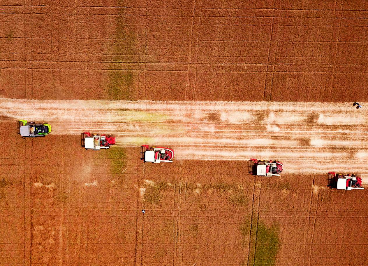 金融赋能乡村振兴｜山东农担纵深推进“担保助粮行动”，全力护航“齐鲁粮仓”建设