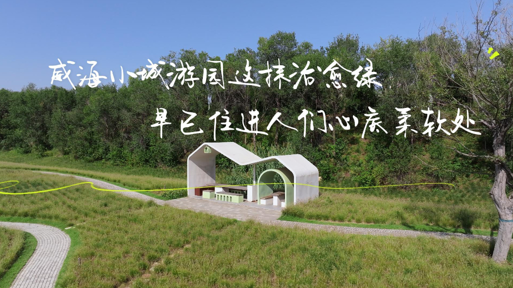 专题“治愈不美丽·鲁K有话说”——解锁威海秋日松弛感
