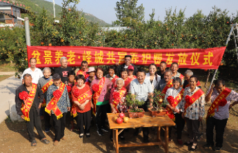 山东枣庄：冠世榴园发放石榴盆景养护费啦！