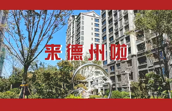 壹点探针丨天猫好房“百亿补贴”进驻德州，是“鲶鱼”来了吗？
