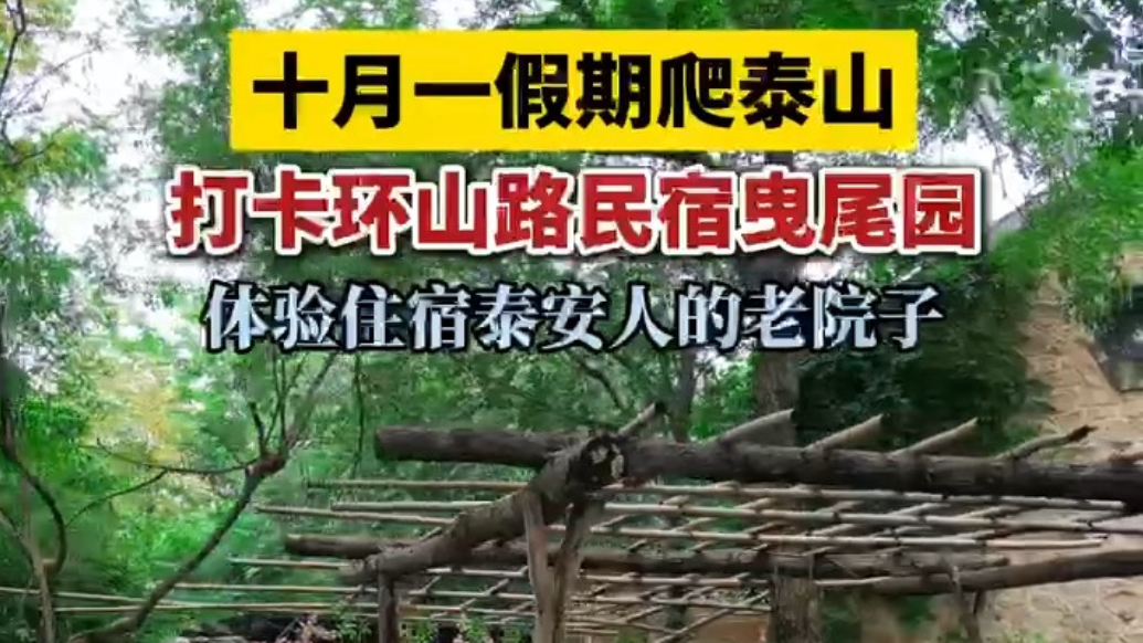 果然视频｜十月一假期爬泰山，体验住宿泰安人的老院子