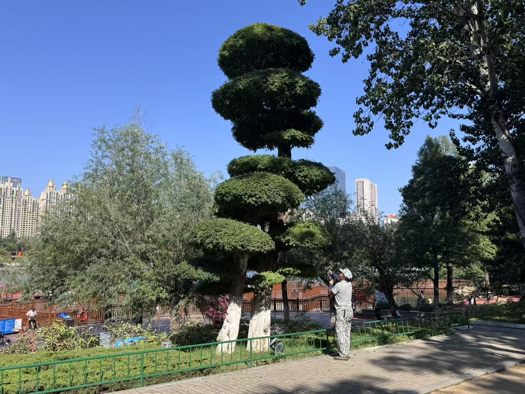 烟台市园林建设养护中心全力做好双节景观保障工作