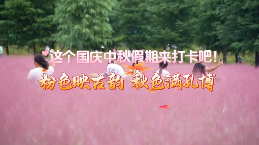 果然视频·假日观｜粉色映古韵，秋色满孔博！假期快来打卡吧