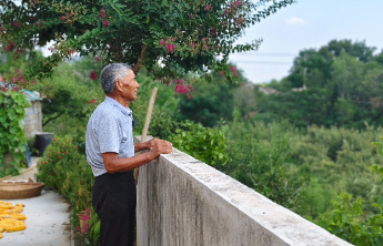 薪火沂蒙⑤|“土坷垃”长出“红票子”