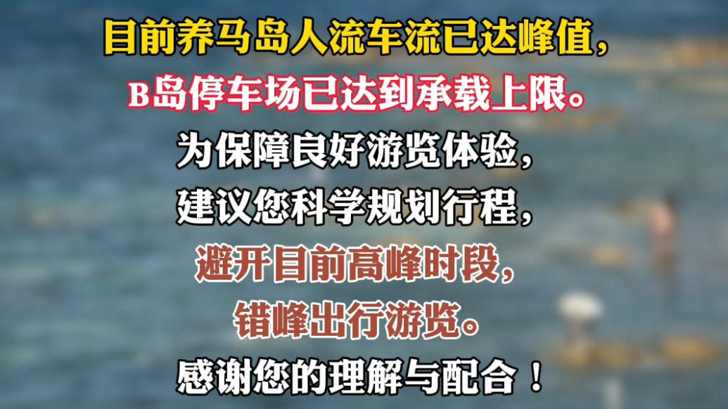 果然视频|烟台养马岛人流车流已达峰值，建议游客错峰出行游览