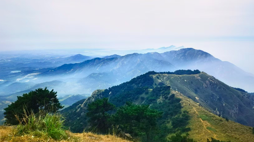 果然视频·假日观｜青岛“阿勒泰”热度不减