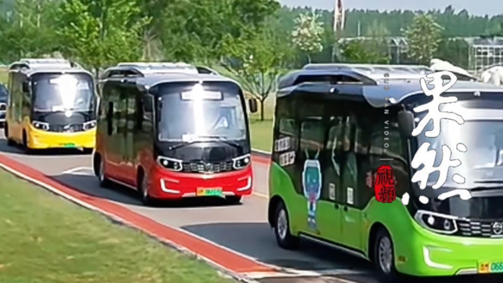 国庆我在岗｜滨州公共汽车有限公司三面发力，确保市民便捷出行