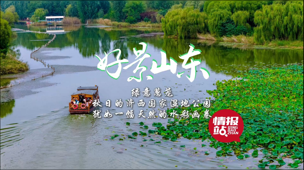 果然视频·好景山东|秋日的济西湿地绿意葱茏，犹如一幅水彩画！