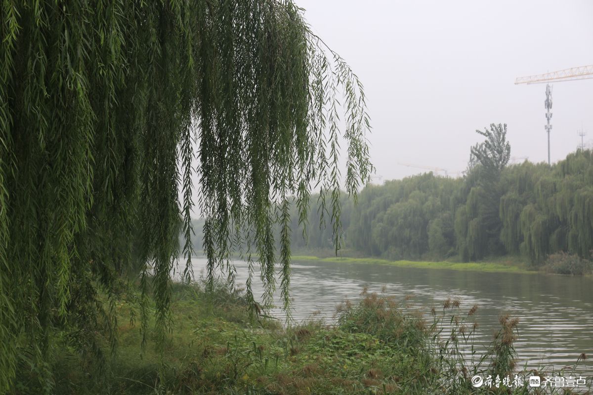 双节拍|雨中宁静的小清河