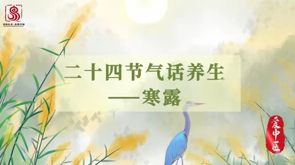 泉民健康之声|科普视频：二十四节气话养生·寒露