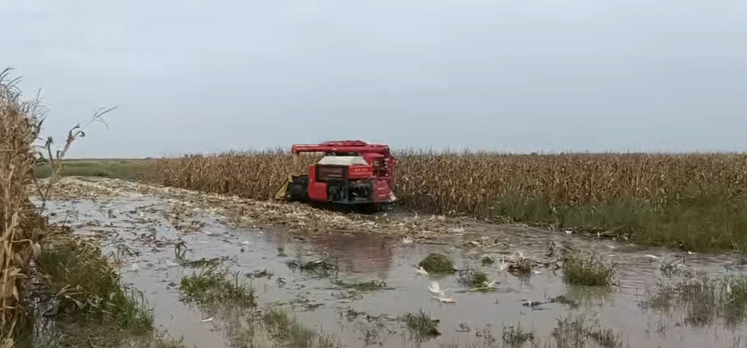 秋雨连绵 与天争时｜潍柴雷沃全线出击打赢“三秋”保卫战