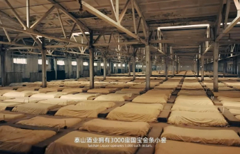 品味泰山酒业“国宝金条小窖”的浓柔之道