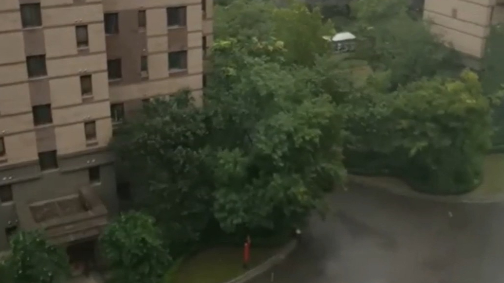 天气情报站|又下大了！济南迎来连续降雨天气，阴雨天气还将持续