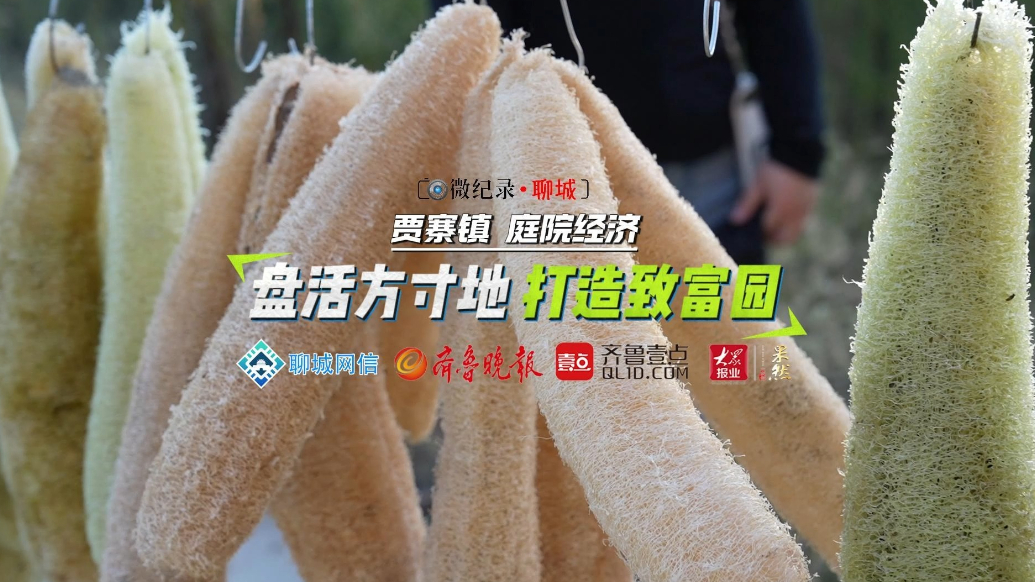 微纪录·聊城｜盘活方寸地，打造致富园