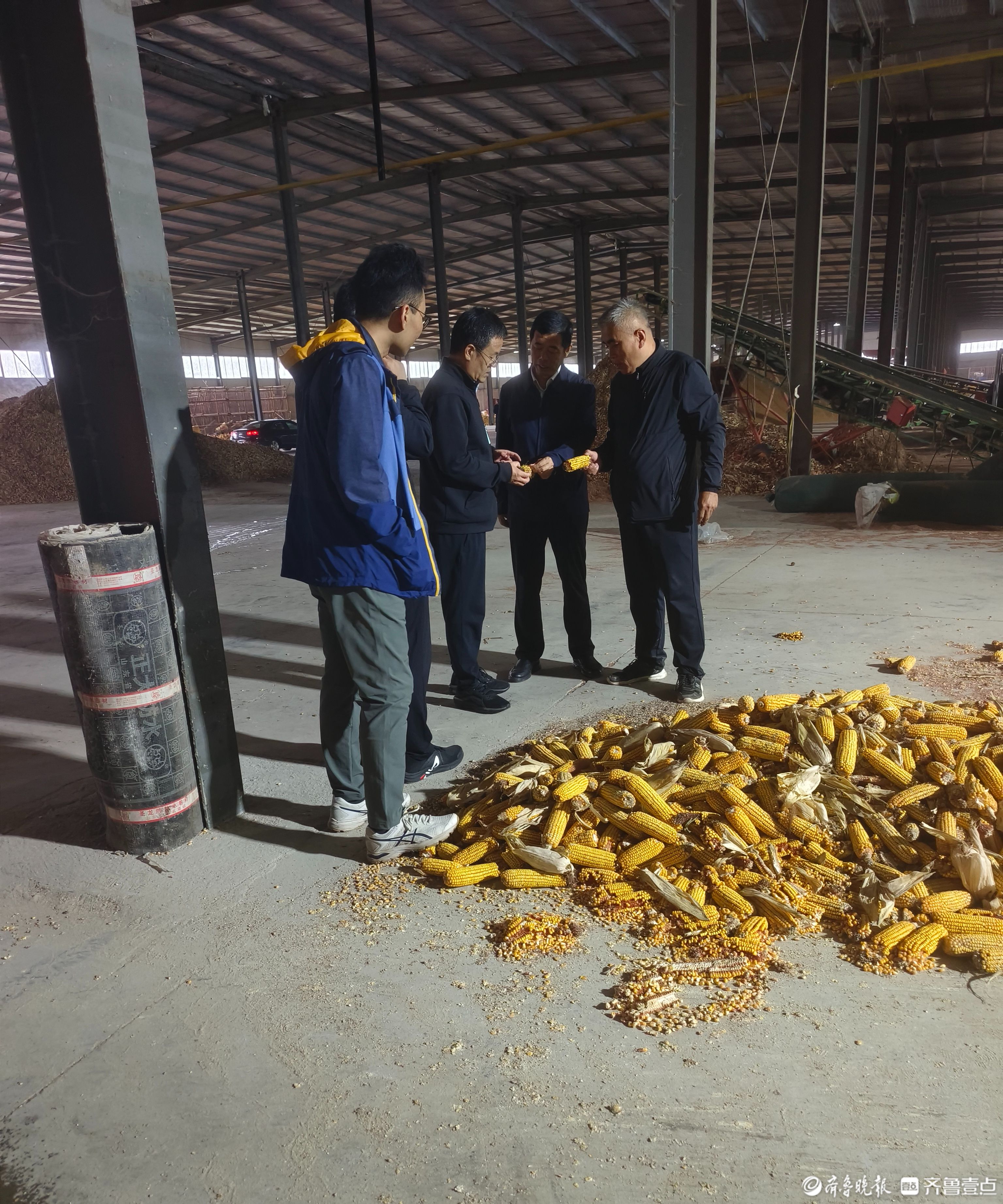 秋雨连绵影响德州秋收进度，农技专家建议来了