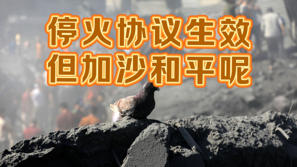 果然视频·世界观|加沙停火第一阶段协议达成，和平有望了吗