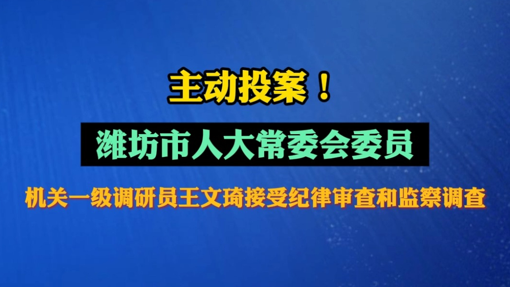 果然视频|涉嫌严重违纪违法！王文琦主动投案