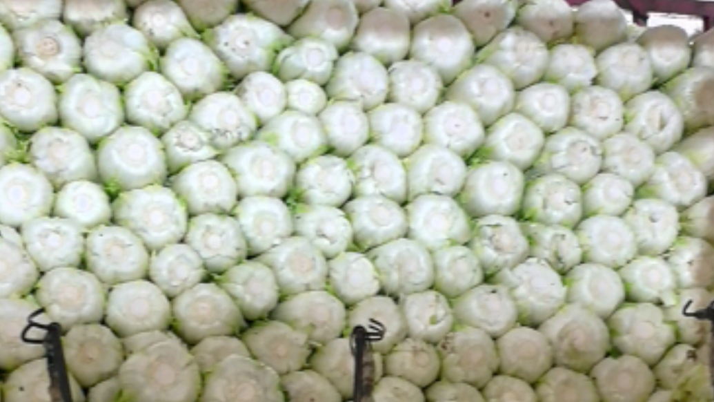 果然视频｜德州多日降雨扰动蔬菜产销，短期蔬菜供应可保持稳定