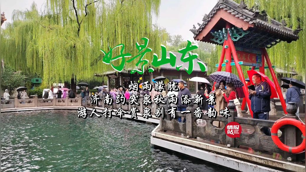 果然视频·好景山东|济南趵突泉烟雨朦胧，游人打伞赏泉别有韵味