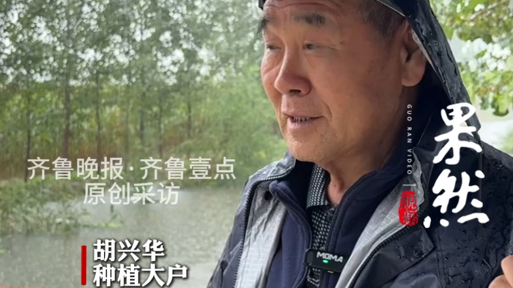 果然视频｜泥泞中抢收“兄弟档”：收割机干活，大拖拉机兜底