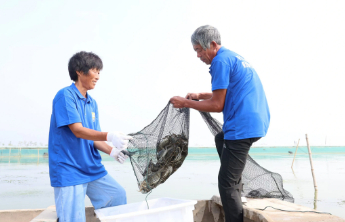 蟹业兴 乡村富｜山东农担“渔业贷”助力黄河口特色产业高质量发展