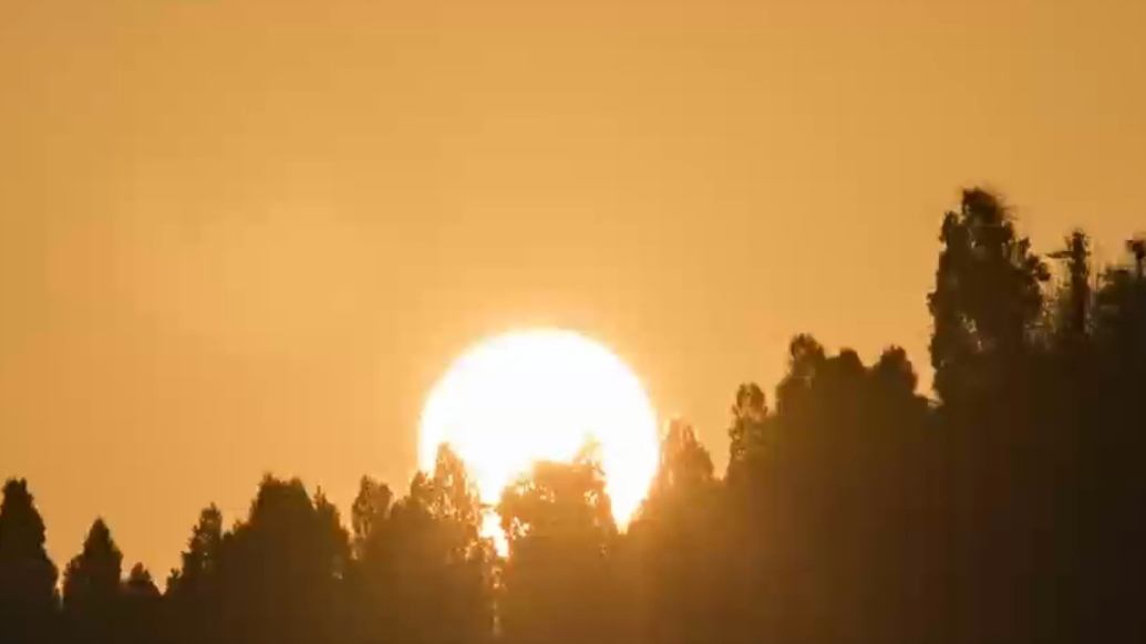 2025年度威海市互联网辟谣优秀作品展播⑬