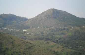 靠山不能只吃山