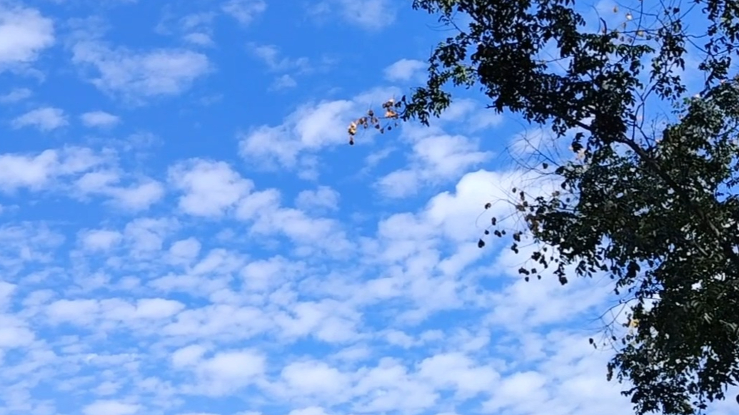 天气情报站|久违了晴天！山东大部分地区降雨暂歇，蓝天白云上线