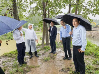 秋收遇上阴雨天 山东平安产险全力保障农民秋粮归仓