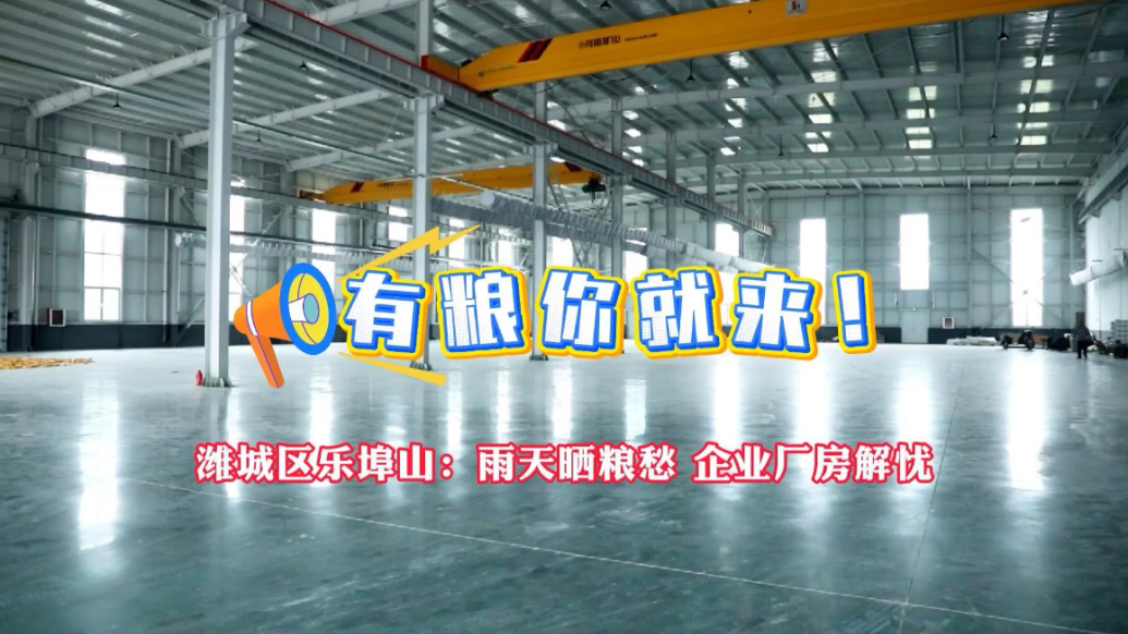 果然视频|潍坊潍城发动企业开放车间，供群众免费晒粮