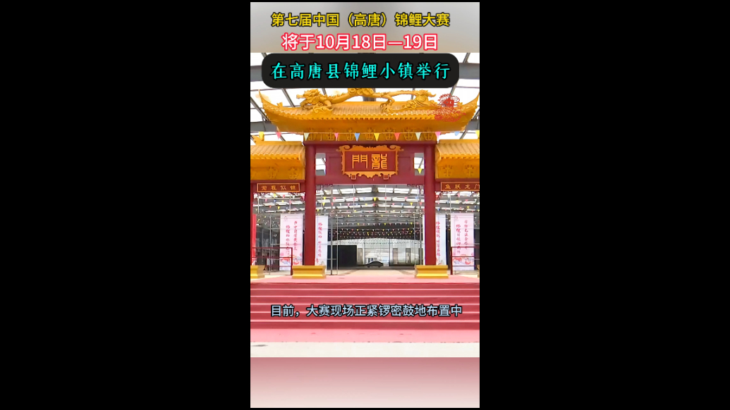 第七届中国（高唐）锦鲤大赛将于10月18日-19日举行