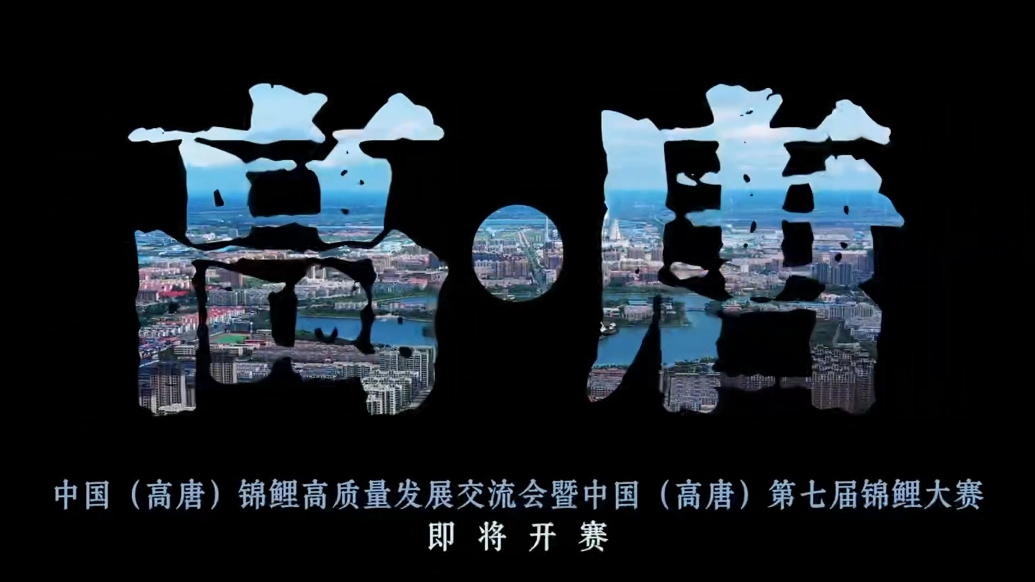 中国（高唐）锦鲤高质量发展交流会暨锦鲤大赛即将开赛
