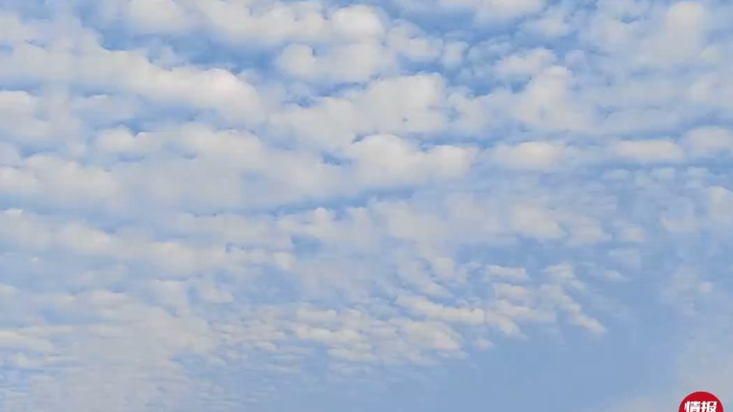天气情报站|美到了！济南上空出现鱼鳞云，层层叠叠蔚为壮观