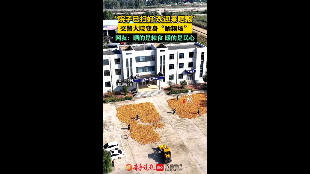 “院子已扫好，欢迎来晒粮”聊城冠县交警大院变身晒粮场