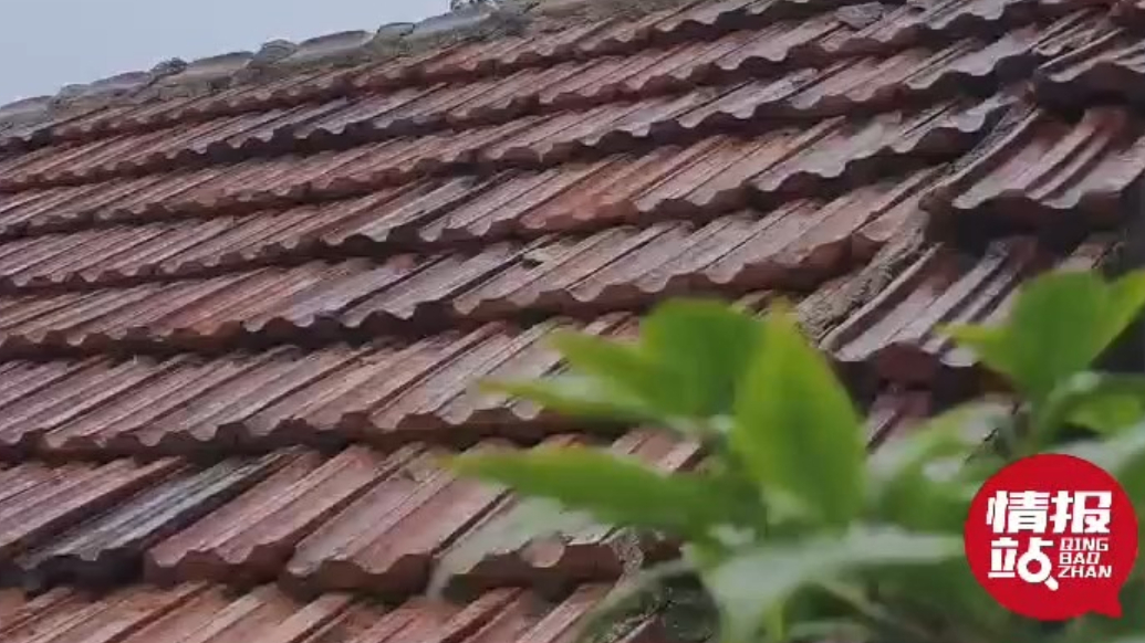 天气情报站|隔天雨来了！济南再迎降雨，外出记得添衣保暖