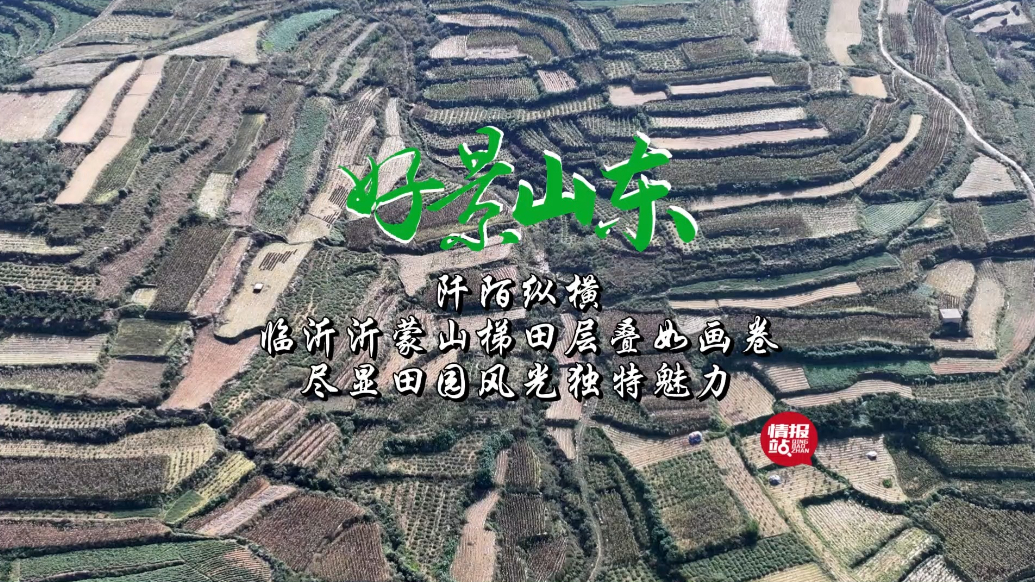 果然视频·好景山东|临沂沂蒙山梯田层叠如画卷，阡陌纵横显魅力