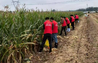 人保财险山东分公司：聚力“三秋”攻坚，筑牢“粮安”防线