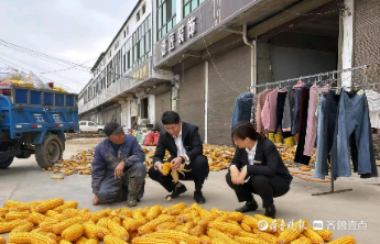 东明农商银行开启秋收金融保障行动 助力秋粮抢收
