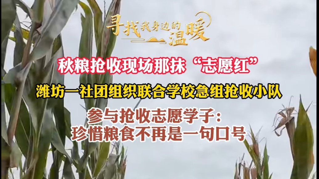 寻找我身边的温暖|秋粮抢收现场那抹“志愿红”