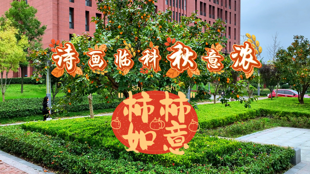 果然视频丨硕果盈枝的积淀与奉献！诗画临科秋意浓之柿柿如意