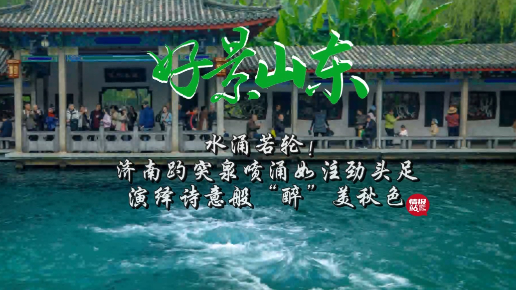 果然视频·好景山东|趵突泉喷涌如注劲头足，演绎诗意般秋色