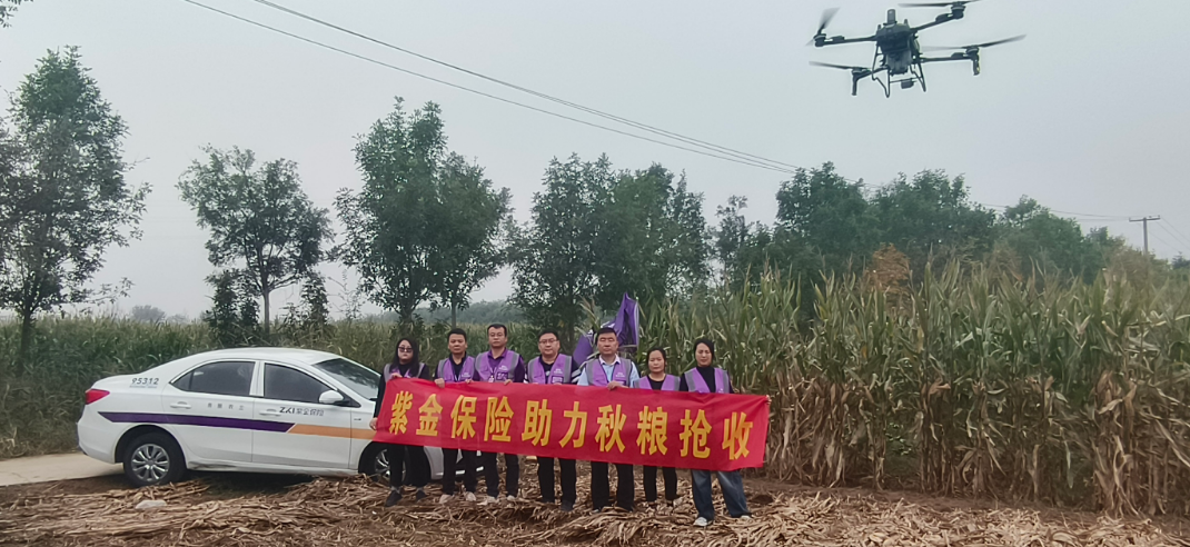 战阴雨抢农时 紫金保险全力护航秋粮颗粒归仓