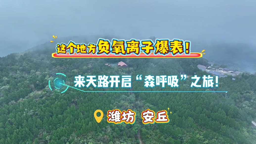 果然视频|这个地方负氧离子爆表！来天路开启“森呼吸”之旅