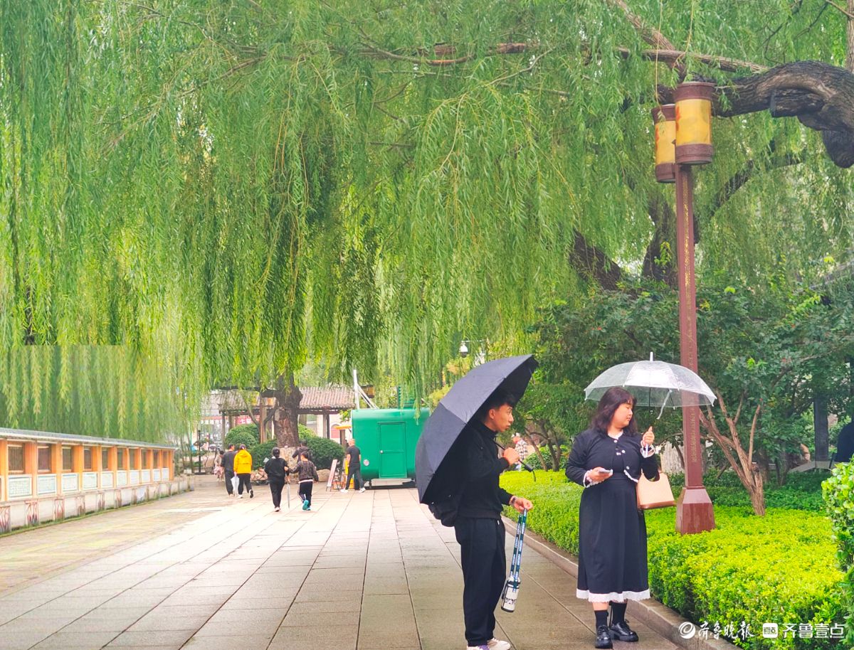 秋风细雨中，大明湖景色靓丽迷人