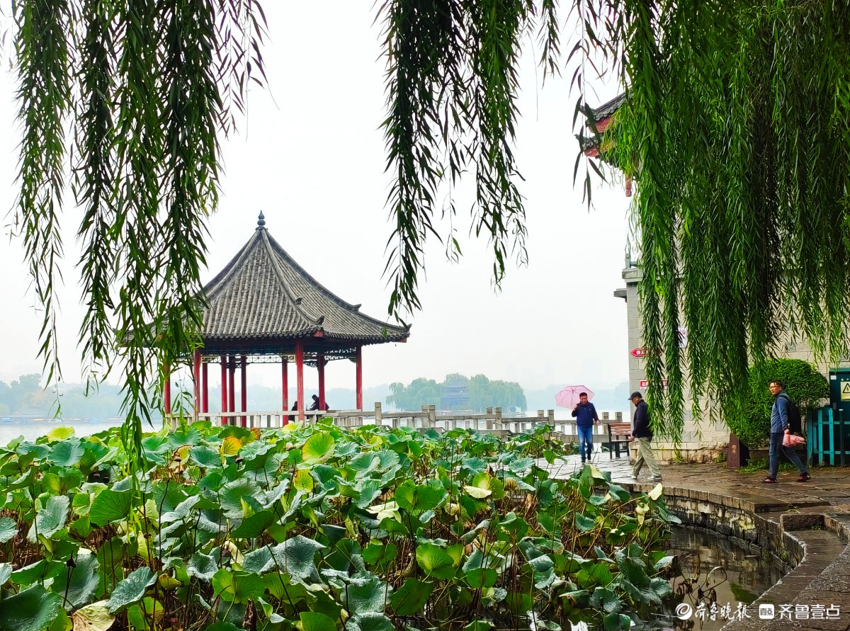 秋风细雨中，大明湖景色靓丽迷人