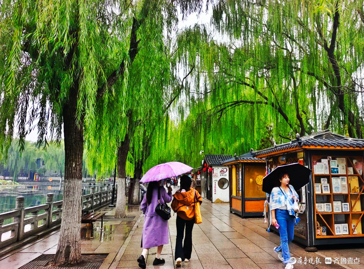 秋风细雨中，大明湖景色靓丽迷人