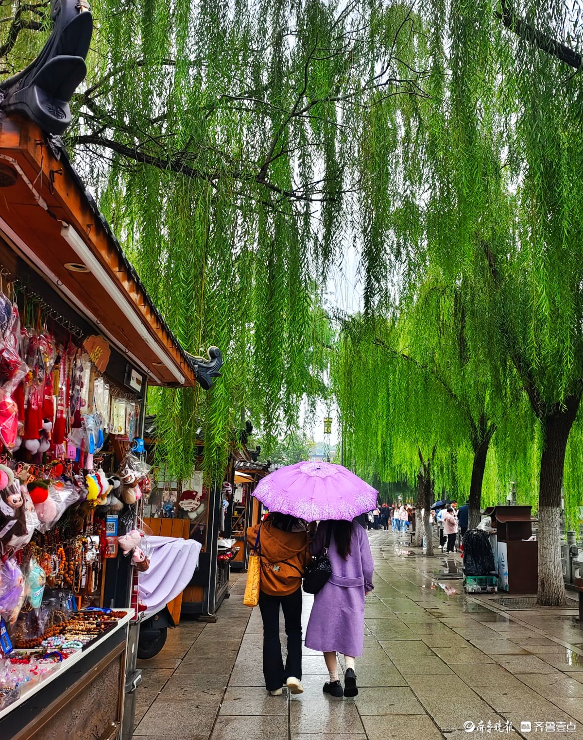秋风细雨中，大明湖景色靓丽迷人