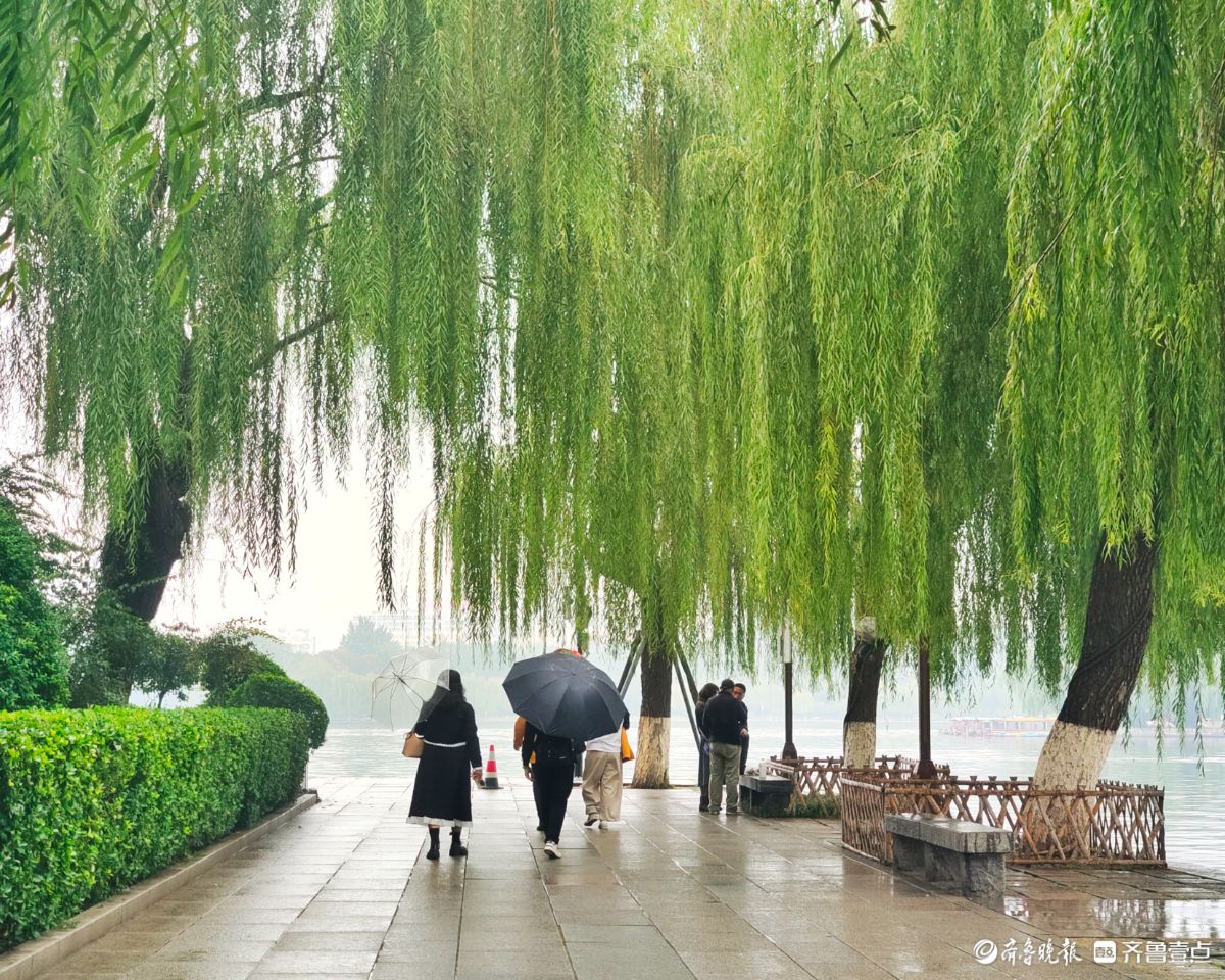 秋风细雨中，大明湖景色靓丽迷人