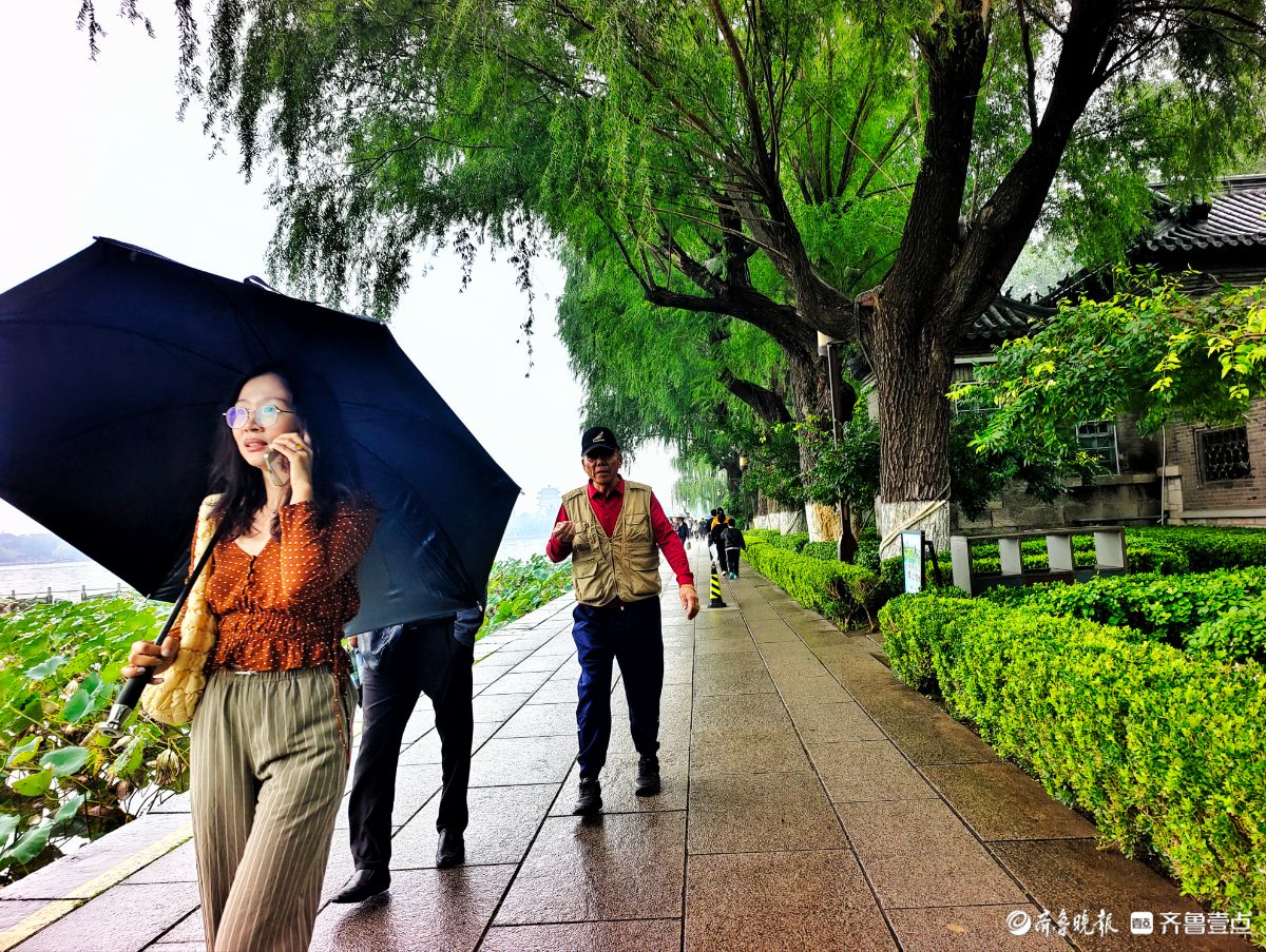 秋风细雨中，大明湖景色靓丽迷人